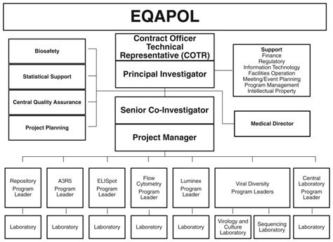 Laboratory Organizational Chart Sample 20 Flow Chart Templates Design Tips And Examples Venngage