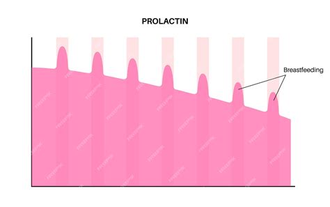 Premium Vector | Prolactin graphic diagram in the woman body PRL and ...