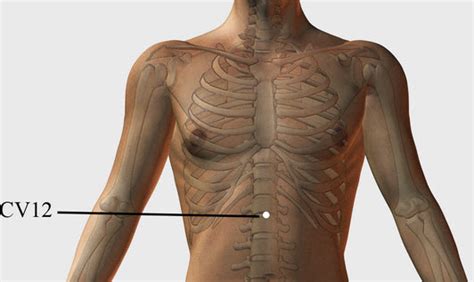 Top 8 Acupressure Points for Nausea Relief and Benefits of Acupressure