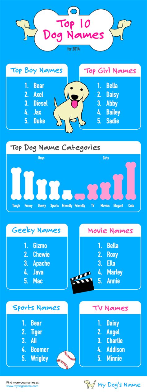 Top 10 Dog Names Infographic - My Dog's Name