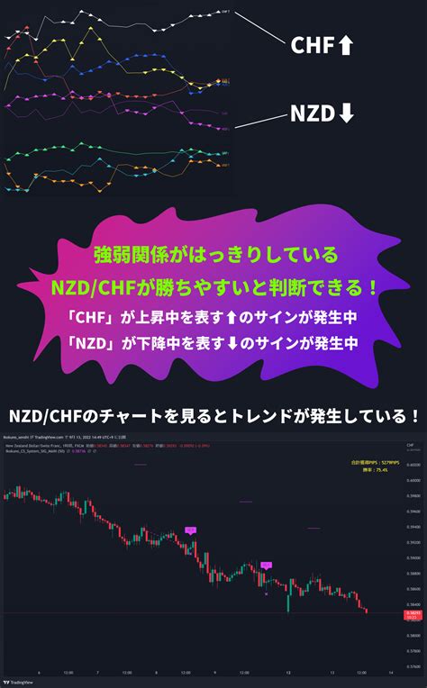 【異国の戦士監修】通貨の強弱を測定する最強インジケーターtv版【異国の通貨強弱システム】