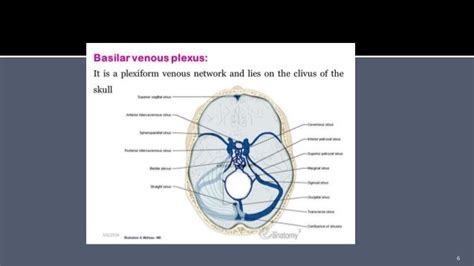 Petroclival Meningioma