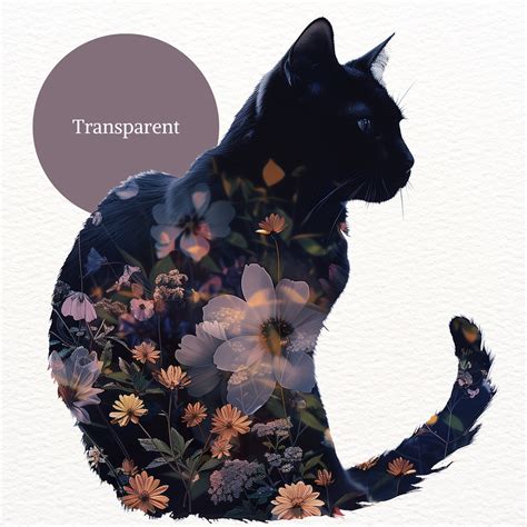 Silhouette Cat Clipart Transparent PNG Meow Pussy Cat Image Black Cat