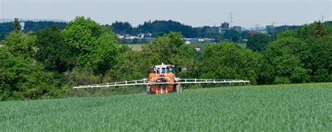 Weizen Jetzt Gegen Fusarium Und Gelbrost Vorgehen Agrarheute