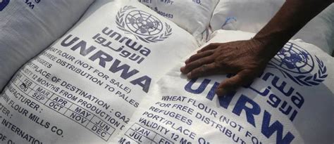 Newsroom | UNRWA