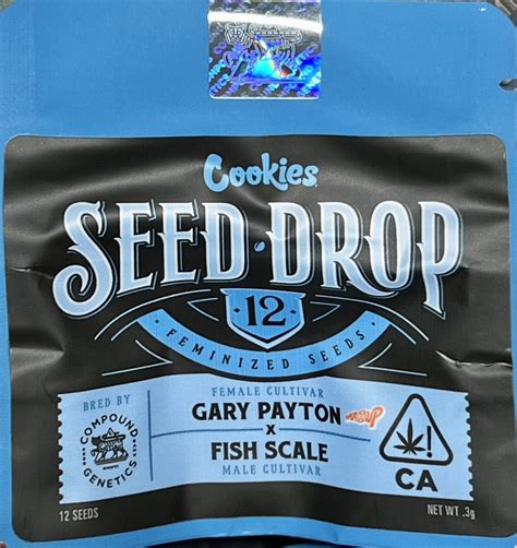 Gary Payton X Fish Scale Fem New Must Insane Seeds