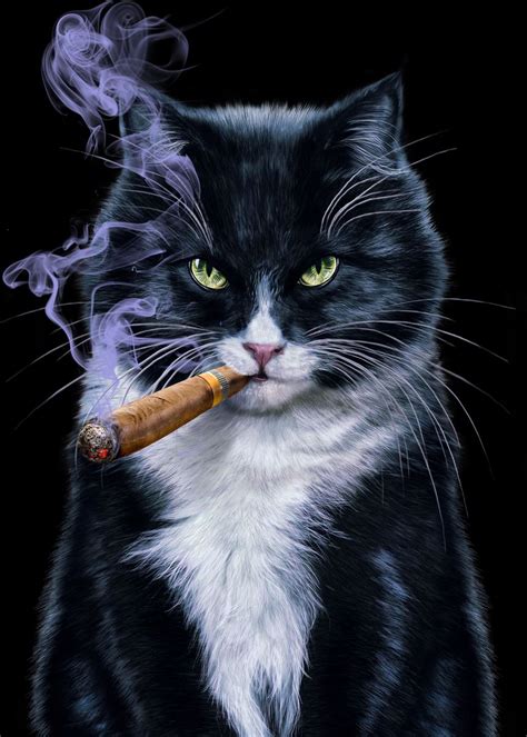 Cool Tuxedo Cat With Cigar Poster Picture Metal Print Paint By