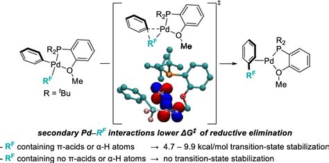 Transition State Stabilization By Secondary Orbital Interactions