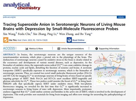 一种新探针用于示踪抑郁小鼠脑部5 Ht能神经元中的超氧阴离子自由基山东师范大学新浪新闻