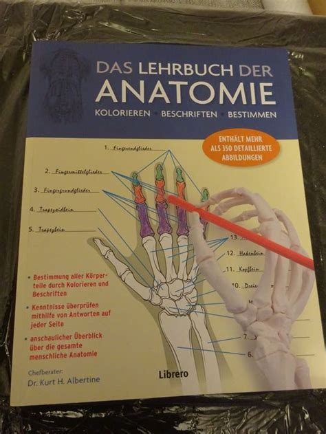 Das Lehrbuch Der Anatomie Kaufen Auf Ricardo