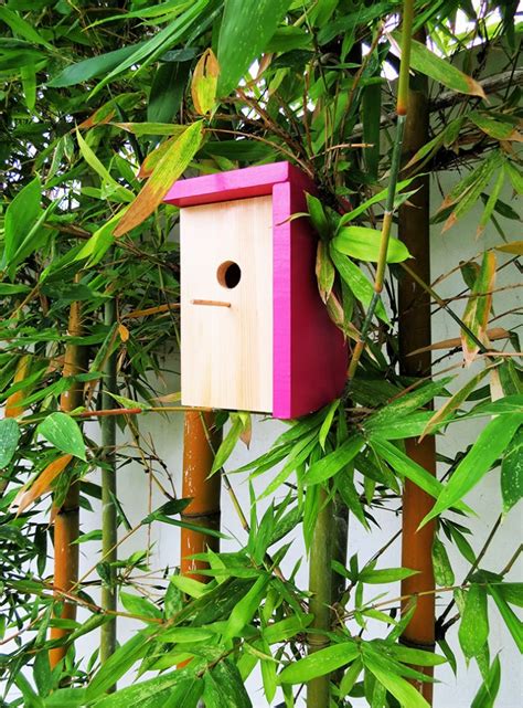 How To Build A Bird House 40 Diy Birdhouse Plans Diy Folly