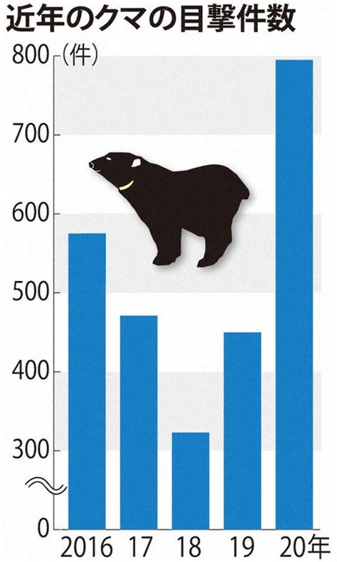 クマ目撃、最多795件 前年比345件増、初の「注意報」 ブナ凶作、地理的事情も ／山形 毎日新聞