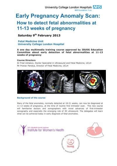 Early Pregnancy Anomaly Scan How To Detect Fetal Isuog