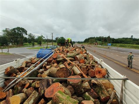 Gendarmería Nacional detuvo la marcha de camión que transportaba madera