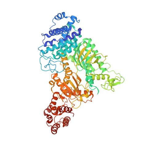 Rcsb Pdb Mus Cryo Em Structure Of Larger Csm Crrna Target Rna