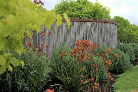 Cairns Drv Bacchus Marsh Robyn Payne Garden Design