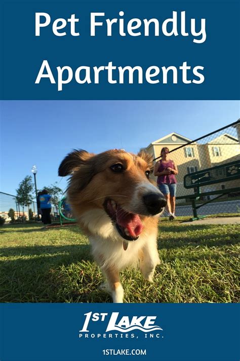 1st Lake Pet Friendly Apartments Find A Home For You And Your Pet