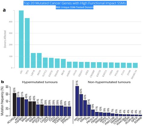 Driver Genes In Colorectal Cancer Encyclopedia Mdpi