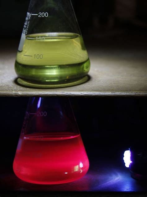 Chlorophyll fluorescence - Alchetron, the free social encyclopedia