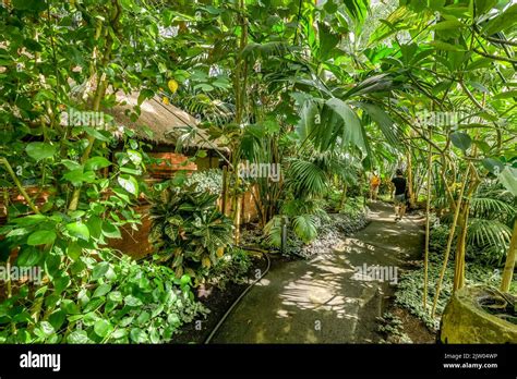 Tropenhalle Balinesischer Garten G Rten Der Welt Marzahn Berlin