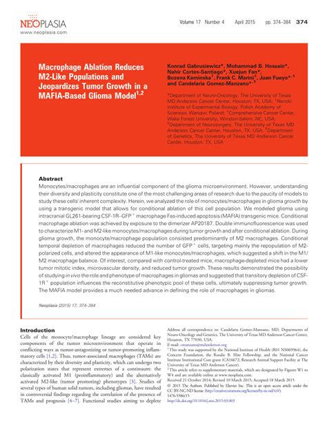 Pdf Macrophage Ablation Reduces M Like Populations And Jeopardizes