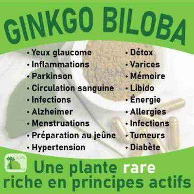 Les Bienfaits Du Ginkgo Biloba Bio Sur La Sant