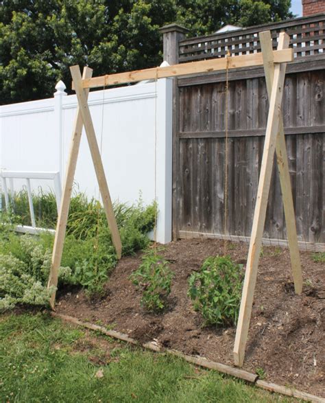 How To Build A Tomato Trellis Using Only One Piece Of Wood Cheap And