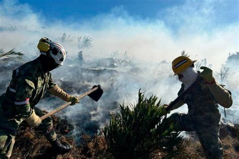 Tragedia Ambiental En Santander Incendio En El Páramo De Berlín