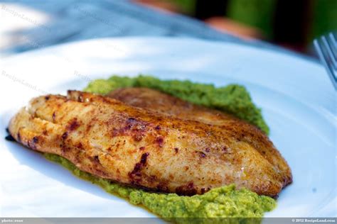 grilled flounder fillet recipes