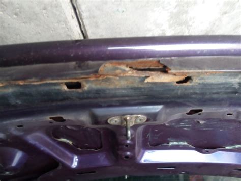 Новая (со старыми дырками) крышка багажника. — Ford Probe II, 2 л, 1996 ...