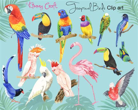 Tropical Birds Hand Painted Clip Art of Tropical Birds, Leaves and Flowers 27 PNG Transparent ...