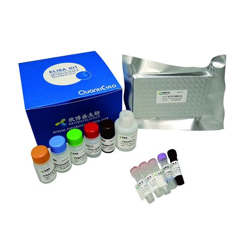 Mouse Ifn Elisa Kit