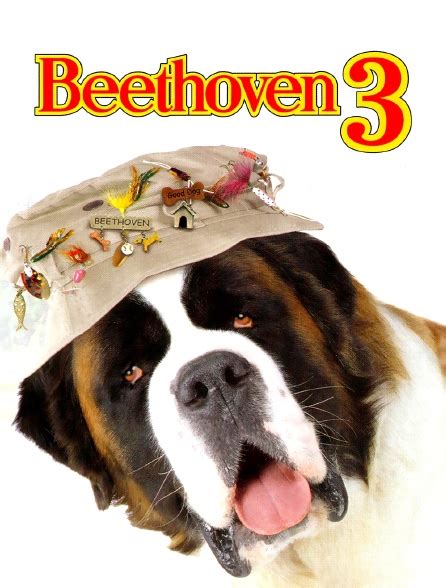 Beethoven 3 En Streaming Molotovtv