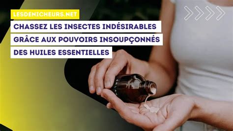 Chassez les insectes indésirables grâce aux pouvoirs insoupçonnés de