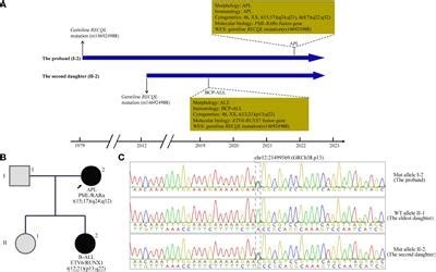 Frontiers Case Report Germline Recql Mutation Potentially Involved