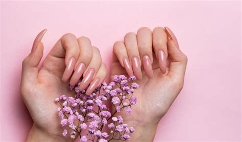 Premium Photo Female Hands With Pink Nail Design Hold Gypsophila Flowers