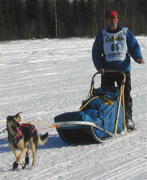 2001 Iditarod From The Alaskacamtm