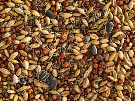 Topflite Wild Bird Seed Mix Coarse Living Rural