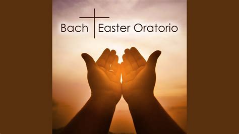 J S Bach Kommt Eilet Und Laufet Easter Oratorio BWV 249 5