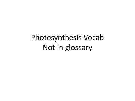 Ppt Photosynthesis Vocab Not In Glossary Powerpoint Presentation