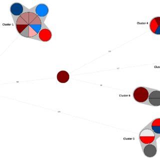 Minimum Spanning Tree Based On Cgmlst Allelic Profiles Of E Coli