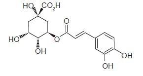 O ácido clorogênico é uma substância natural que está presen