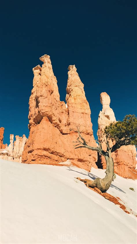 273891 Antelope Canyon Canyon Art Illustration Grand Canyon