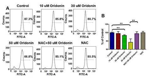 Ros Scavenger Nac Reversed Oridonin Induced Disruption Of Mitochondrial