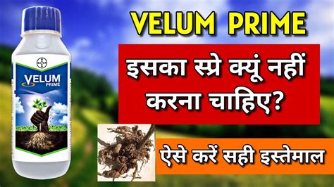 Bayer Velum Prime Bayer Velum Price Nematodes Control Pesticides