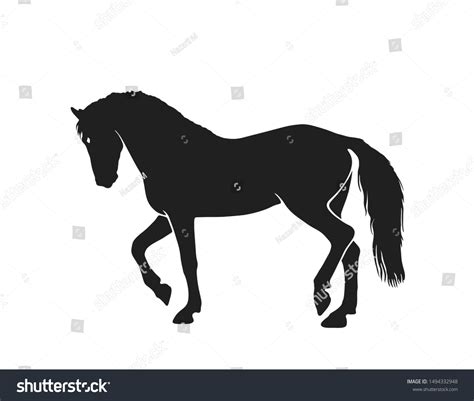 Horse Silhouette Side View Isolated Vector Stock Vector (Royalty Free ...