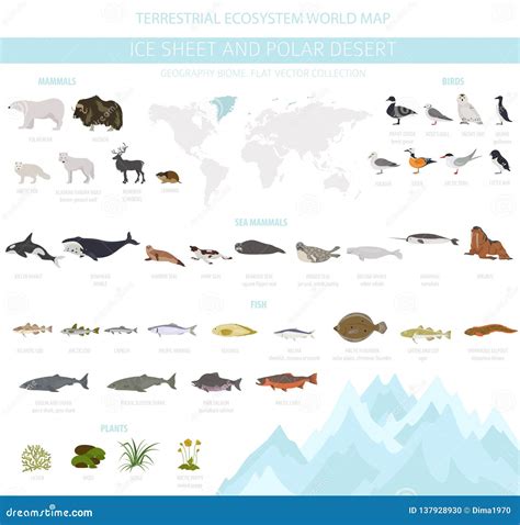 Ice Sheet and Polar Desert Biome. Terrestrial Ecosystem World Map Stock ...