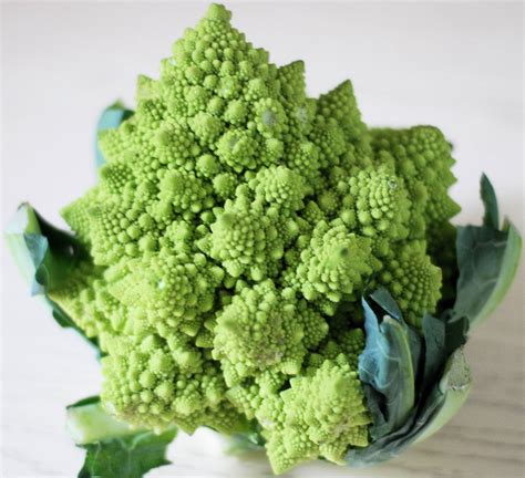 Romanesco Broccoli Living In Italy