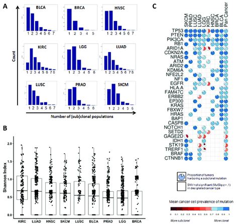 The Landscape Of Intratumor Heterogeneity Across Different Types Of