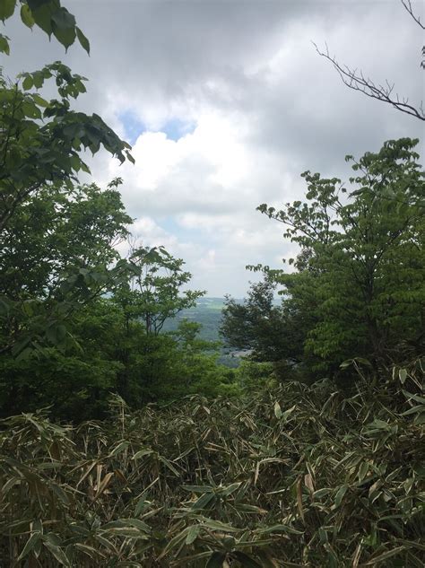 本栖湖キャンプ場〜竜ヶ岳〜端足峠〜浩庵テント村 毛無山・雨ヶ岳・竜ヶ岳の写真16枚目 天気予報は晴れなのに雲が多いなぁ☁️